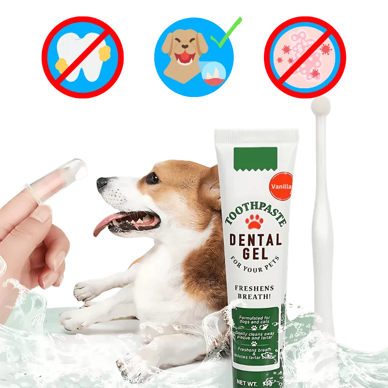 Dog dental care kit with toothbrush, finger brushes, and toothpaste for fresh breath, healthy teeth, and oral hygiene.